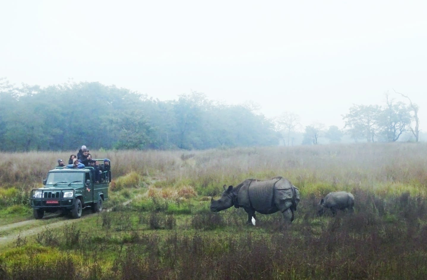 Wildlife safari jeep in Chitwan National Park
